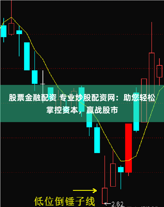 股票金融配资 专业炒股配资网：助您轻松掌控资本，赢战股市