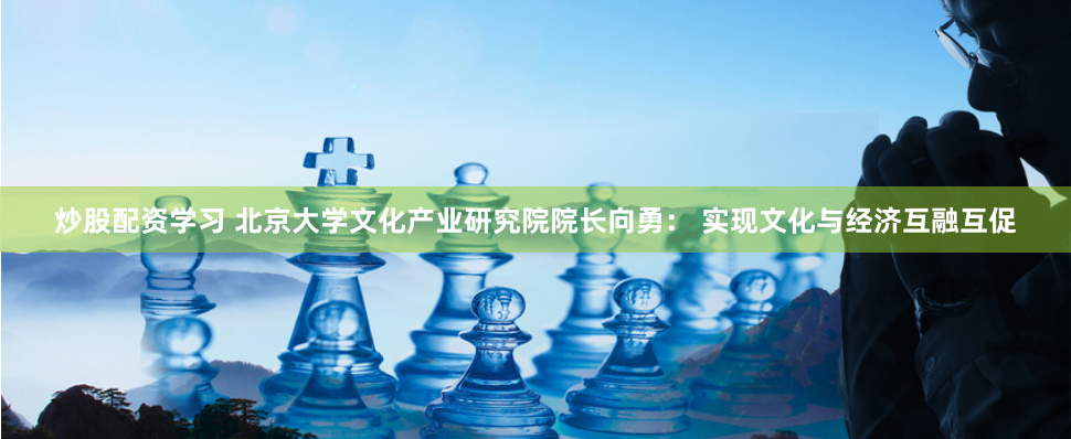 炒股配资学习 北京大学文化产业研究院院长向勇： 实现文化与经济互融互促