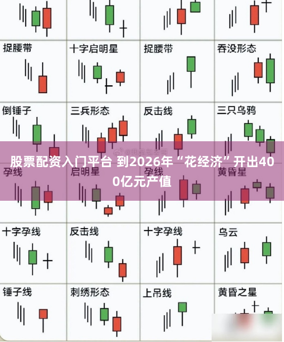 股票配资入门平台 到2026年“花经济”开出400亿元产值