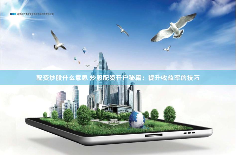 配资炒股什么意思 炒股配资开户秘籍：提升收益率的技巧