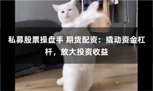 私募股票操盘手 期货配资:撬动资金杠杆,放大投资收益